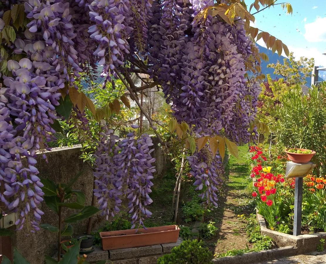 Appartment Lodged Mamma Maria Mattarello Dış mekan fotoğraf