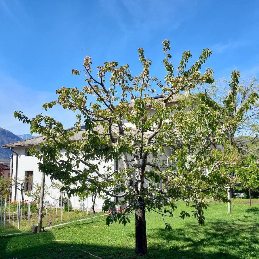 Appartment Lodged Mamma Maria Mattarello Dış mekan fotoğraf