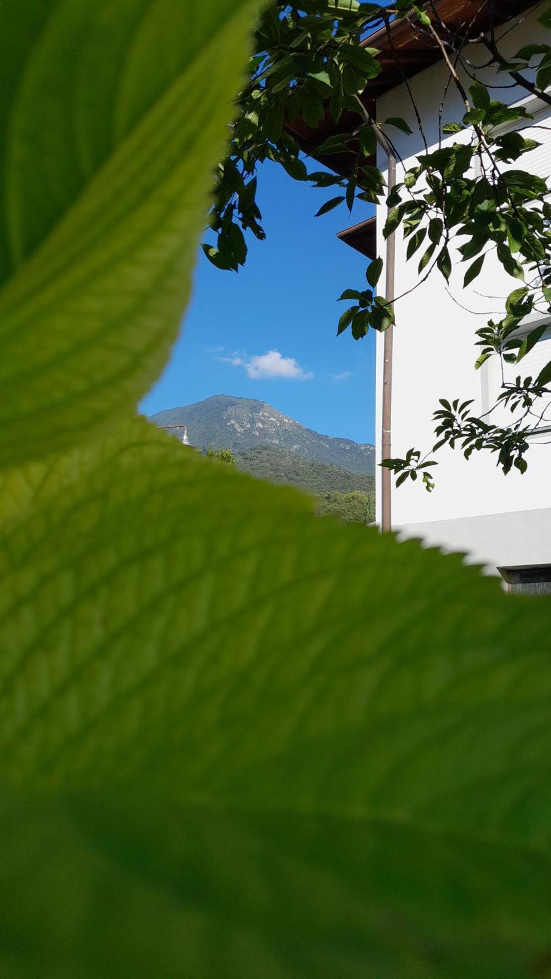 Appartment Lodged Mamma Maria Mattarello Dış mekan fotoğraf